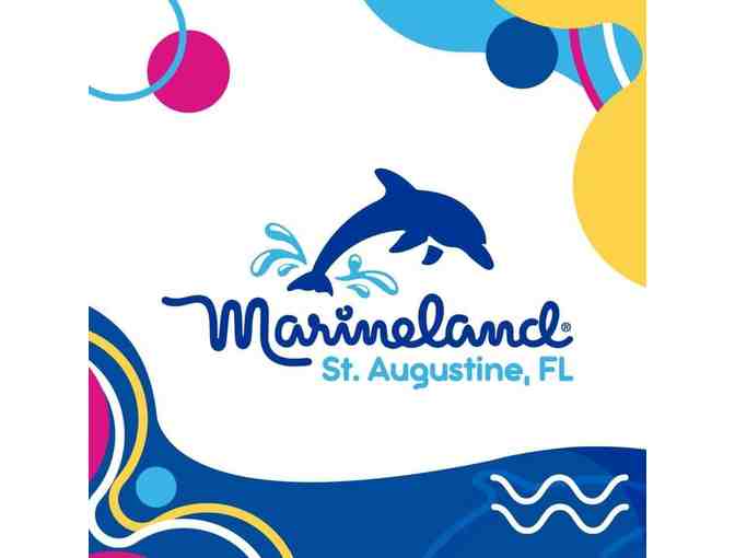 Meet and Greet at Marineland St. Augustine for Four People