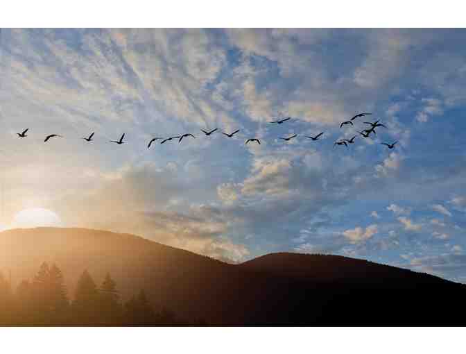Enjoy 3 nights WorldMark Running Y Klamath Falls Oregon 4.3 star resort - Photo 5