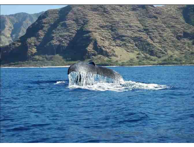 7 nights @ Direct Oceanview 3 bed Home West Oahu + Organic Farm Tour - Photo 12