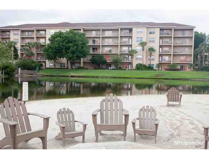 Enjoy 7 nights @ Aqua Sol, Hilton Resort Orlanod, Fl + $100 Food