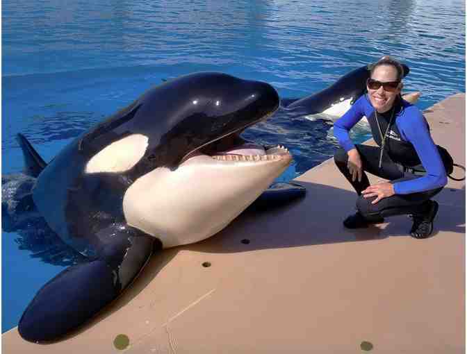 Sea World San Diego Trainer for Day + 5 night Experience - Photo 4