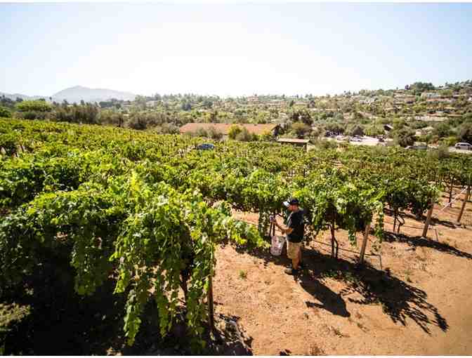 5 night San Diego Wine Tasting Getaway