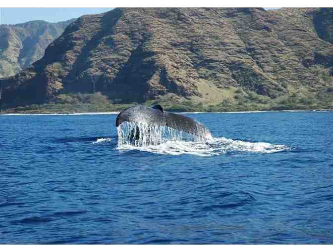 7-Night 3 Bedroom Oahu Oceanview Home + Horse Back Riding Experience