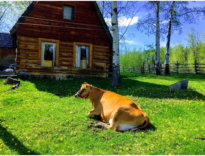 5 Night Stay & Horseback Riding Experience at Montana Hill Guest Ranch