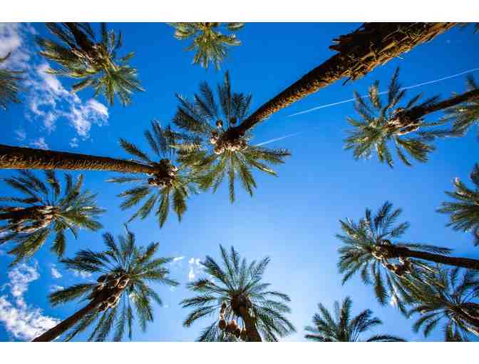 7 Nights in Sunny Coachella Valley - Photo 2