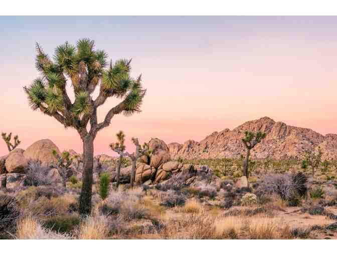 7 Nights in Sunny Coachella Valley - Photo 3