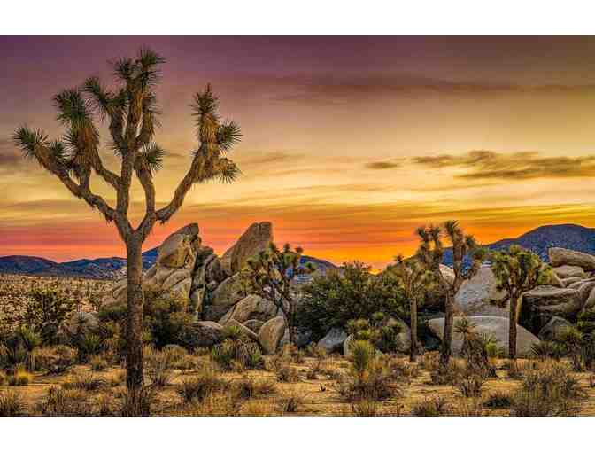 7 Nights in Sunny Coachella Valley - Photo 4