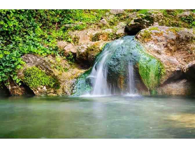 7 Nights in Hot Springs, Arkansas! - Photo 4