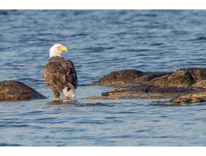 7-Night Getaway to Lake Winnipesaukee! - Photo 2