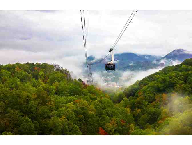 7-Night Resort Getaway to the Smokies! - Photo 2
