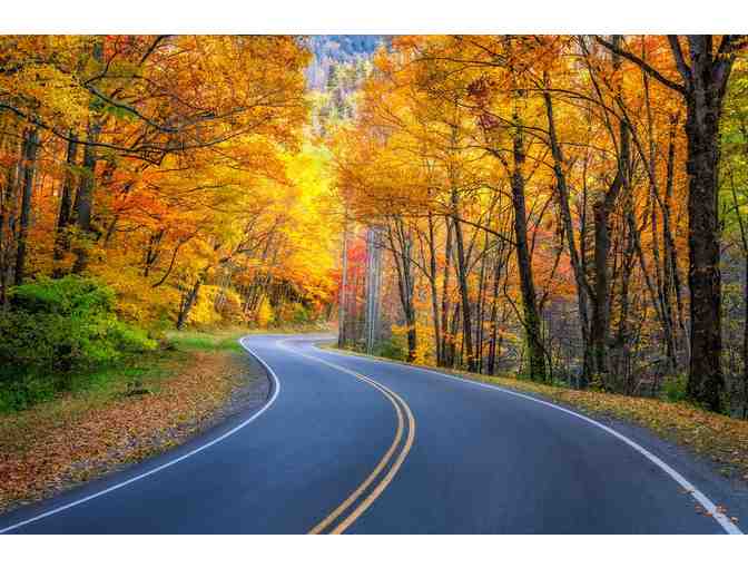 7-Night Resort Getaway to the Smokies! - Photo 5