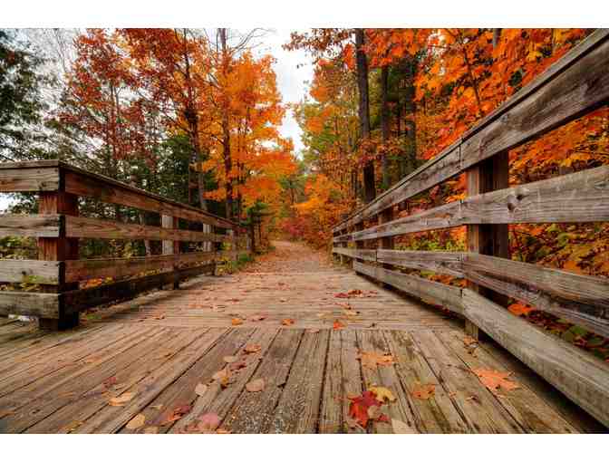 7-Night Getaway to Northern Michigan! - Photo 5