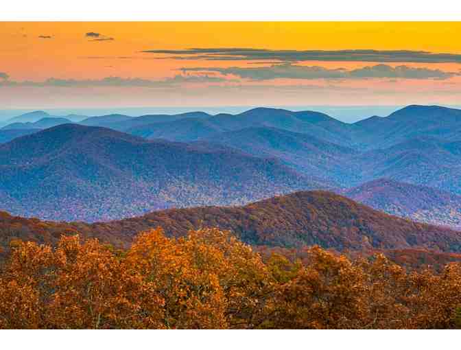7 Nights in the North Georgia Mountains! - Photo 1