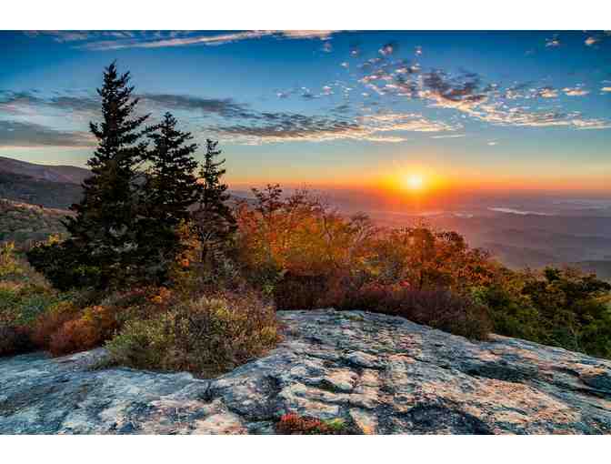 7 Nights in the North Georgia Mountains! - Photo 5