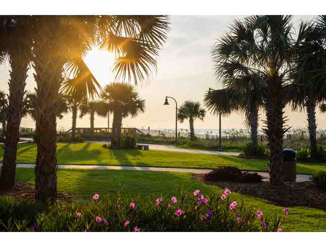 7-Night Vacation to Myrtle Beach! - Photo 3