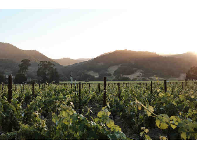 Farmhouse Luxury in Napa Vineyards - Photo 2