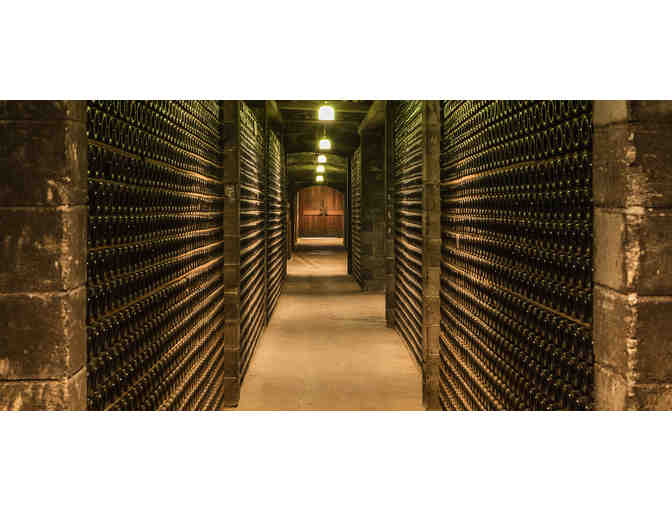Farmhouse Luxury in Napa Vineyards - Photo 11