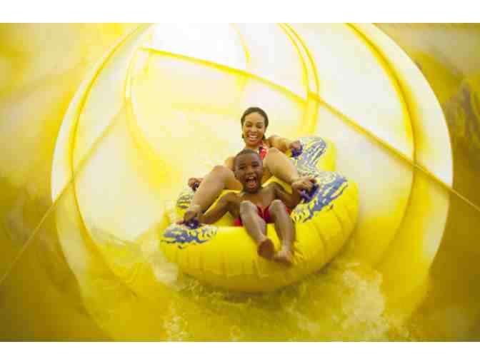 Family Waterpark Getaway!