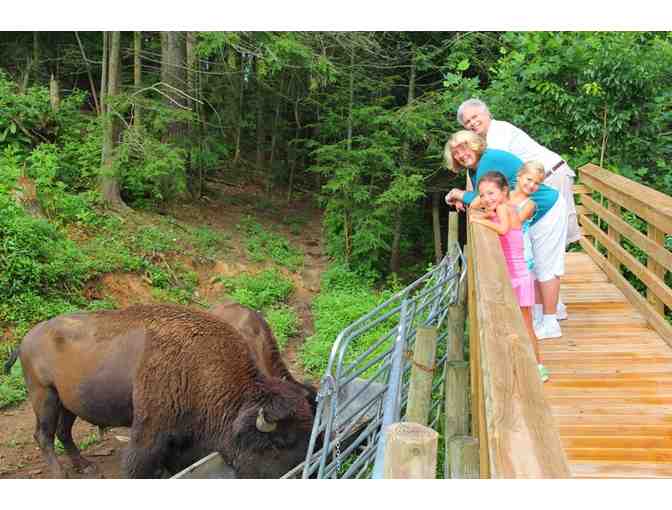 Family Trip to a Smoky Mountain Ranch! - Photo 14