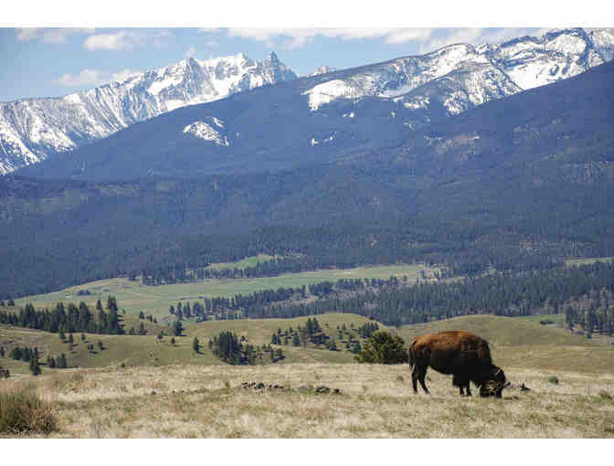 Meet Me in Montana: Triple Creek Ranch 3 Night Stay for 2 - Photo 12