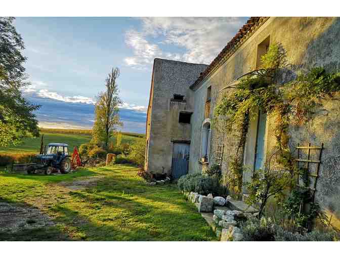 7 Days in the Heart of French Wine Country - Photo 8