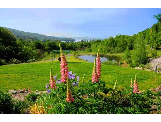 Two Nights Overlooking Newfound Lake - Photo 6