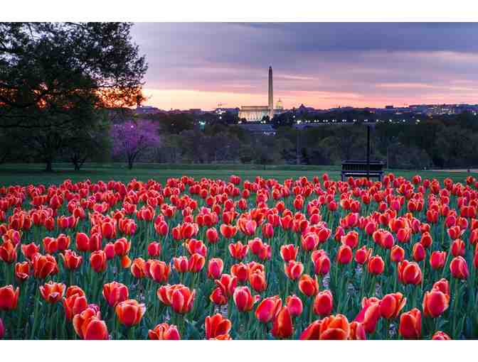 2-Night Stay + DC Monuments Bike Tour - Photo 4