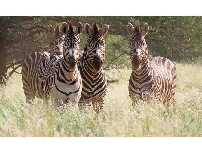 7-Day Hunting Safari in South Africa for 4 - Photo 10