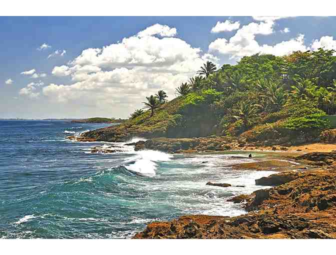 Golf Resort Getaway! Puerto Rico or Hawaii