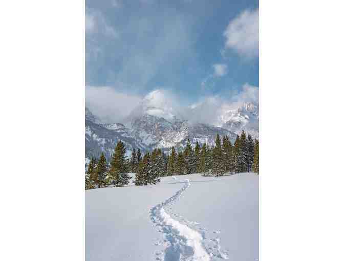 Snowy Slopes of Jackson Hole