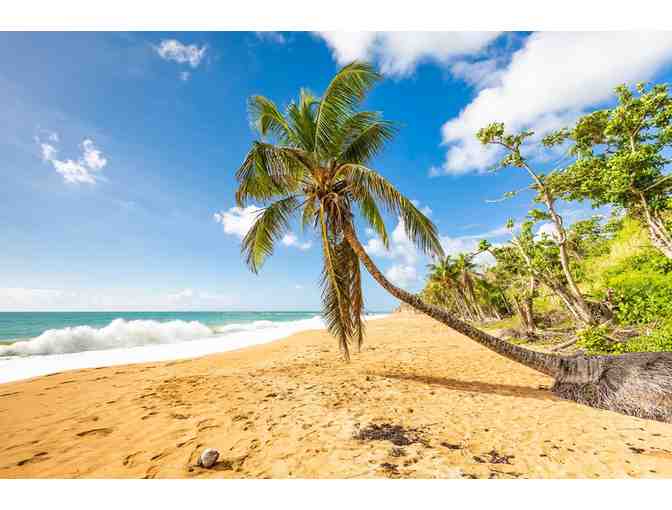 Golf Resort Getaway! Puerto Rico or Hawaii - Photo 1
