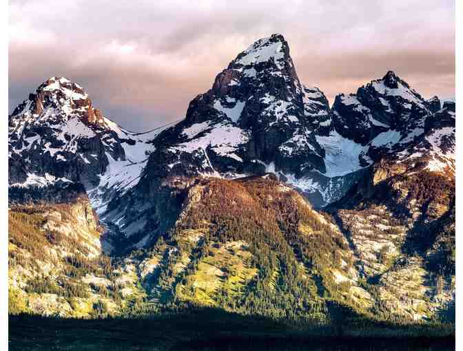 3 Nights in Jackson Hole + Wildlife Safari