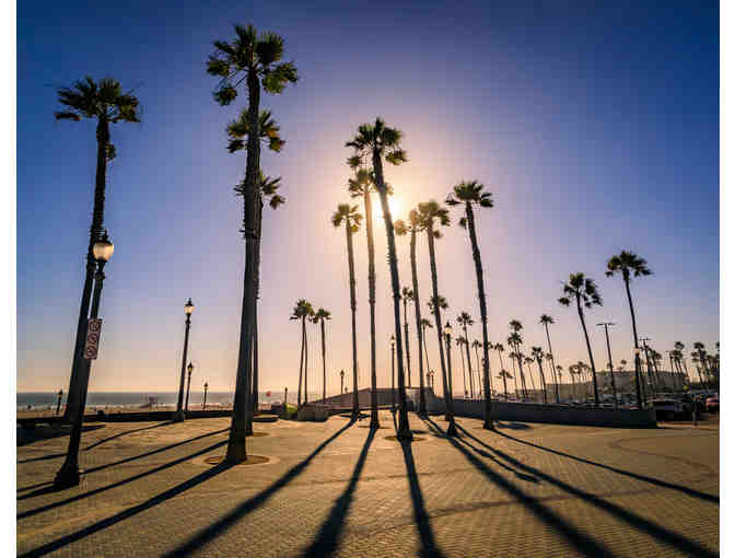 Surf Lessons in the California Sun