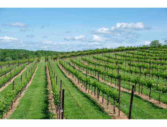 Bordeaux & Cognac Revealed