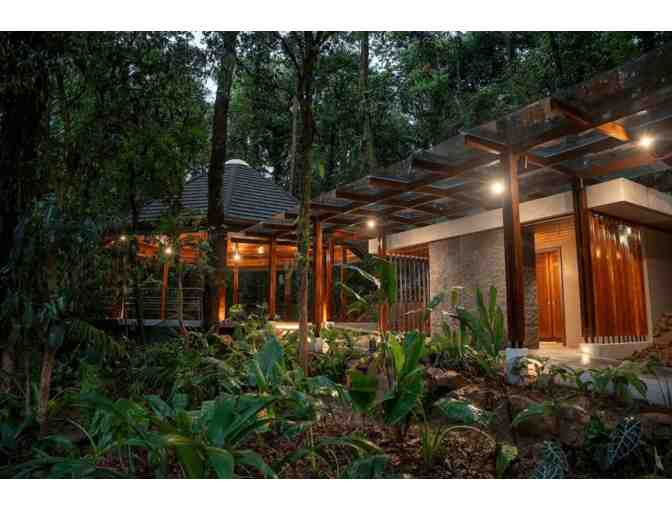 Costa Rica Rainforest Experience