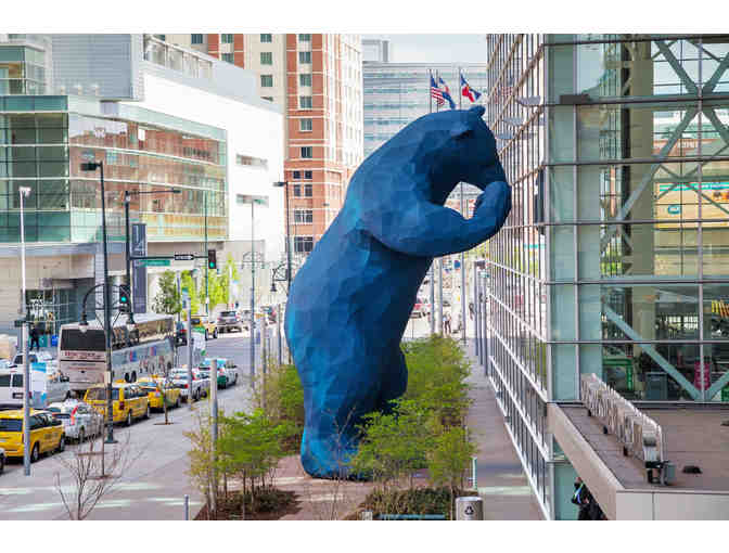 A Night at Red Rocks