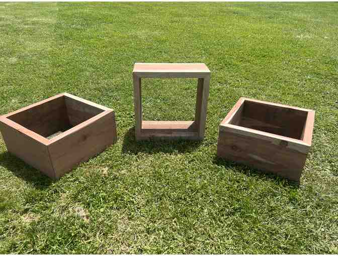 Instant Garden ~ Set of 3 planter boxes, organic soil and starts, $100 gift certificate - Photo 1