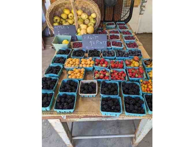 $100 Gift Card to the SWSF Farm Stand - Photo 1