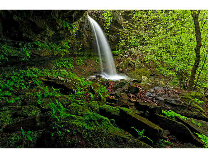 Ozark Wilderness