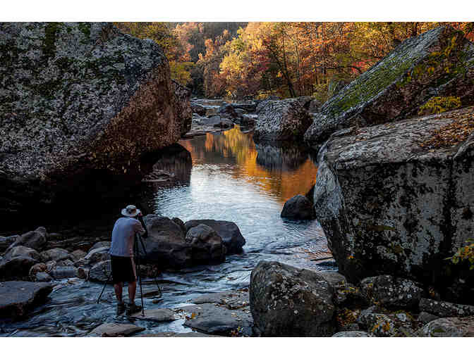 Ozark Wilderness