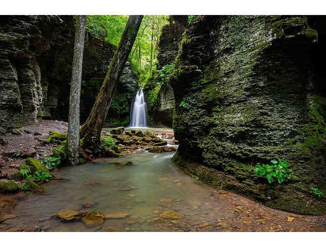 Ozark Wilderness