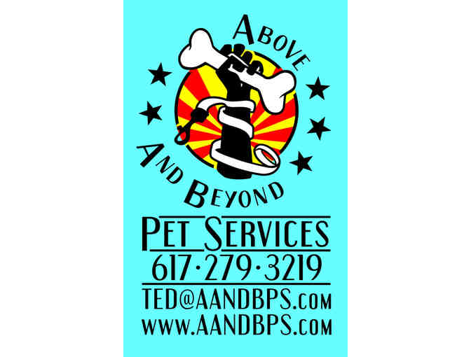 Dog Walking for 1 Work Week (M-F) by Above and Beyond Pet Services