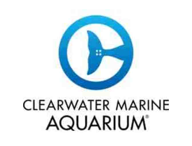 Clearwater Marine Aquarium 4 Tickets