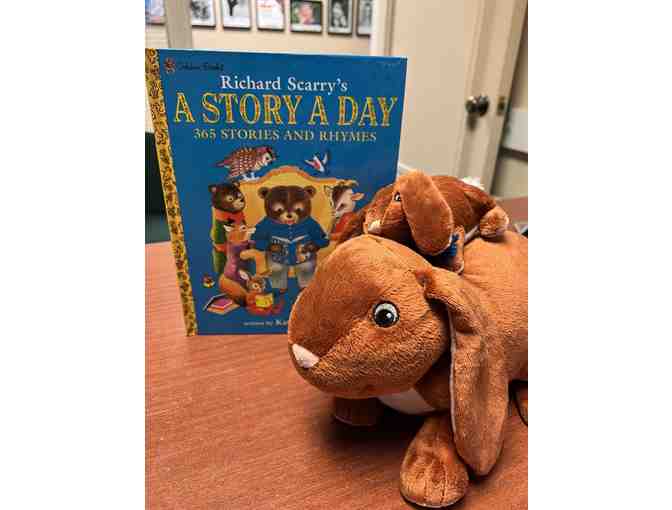A Story a Day Book and Animal Set