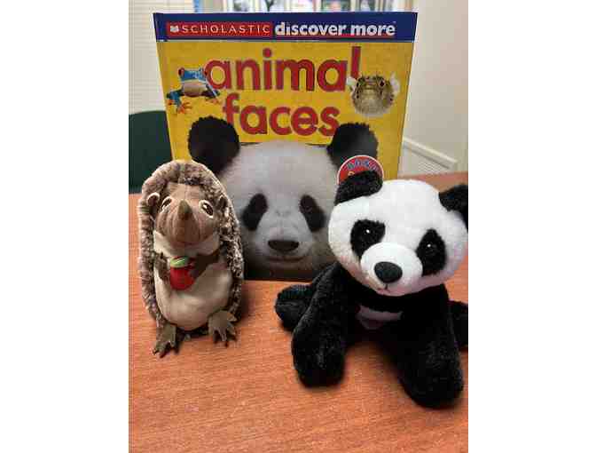 Animal Faces Book and Stuffed Animals