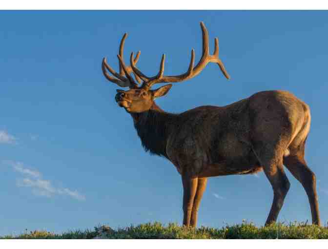 2 night stay at YMCA of the Rockies (Winter Park, CO or Estes Park, CO)