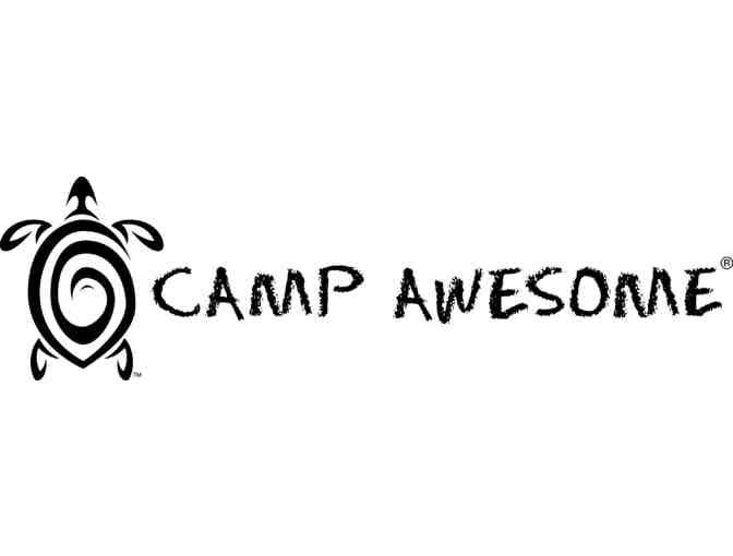 Camp Awesome: One Week of Summer Camp
