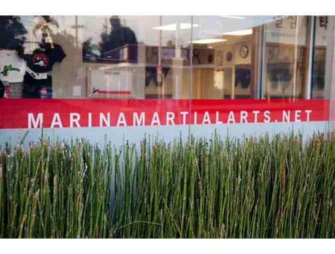 Marina Martial Arts: Two Weeks of Kickboxing Group Classes