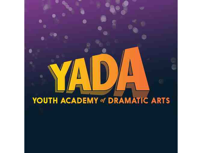 YADA (Youth Academy of Dramatic Arts): $300 Off Any Session