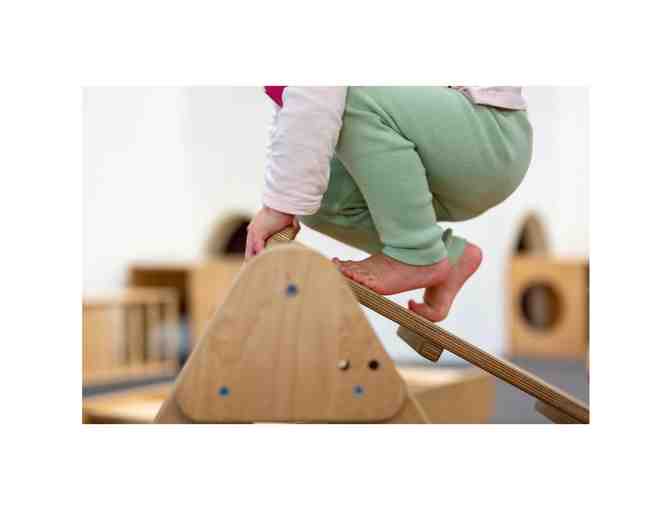 Wild Child Gym: 4-week Session Pass + Annual Membership Fee